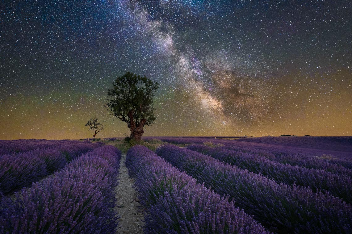 Provenza Nikon School Viaggio Fotografico Workshop Paesaggio Viaggi Fotografici Via Lattea Startrail Notturna 00051