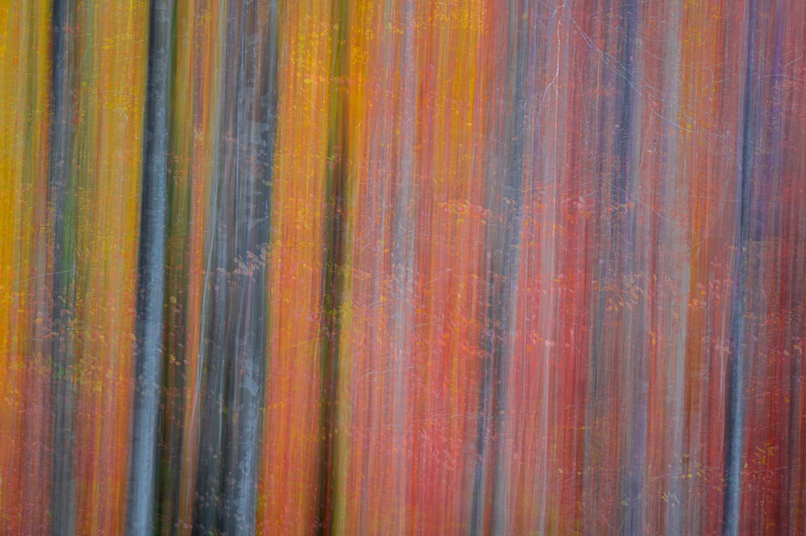 Slovenia Viaggio Fotografico Workshop Nikon School Paesaggio Viaggi Fotografici Bled Foliage Autunno 00036