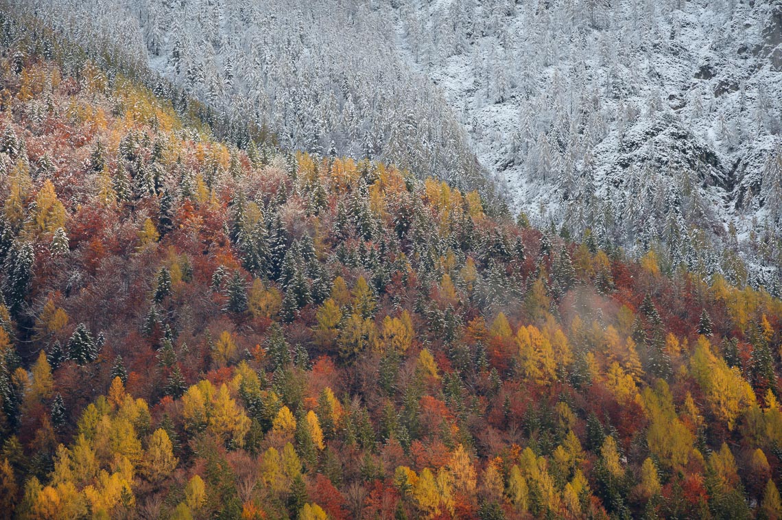 Slovenia Viaggio Fotografico Workshop Nikon School Paesaggio Viaggi Fotografici Bled Foliage Autunno 00037