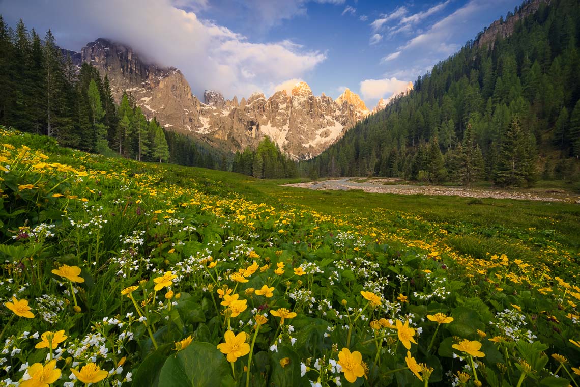 Dolomiti Nikon School Workshop Paesaggio Notturna Via Lattea Startrail 00001