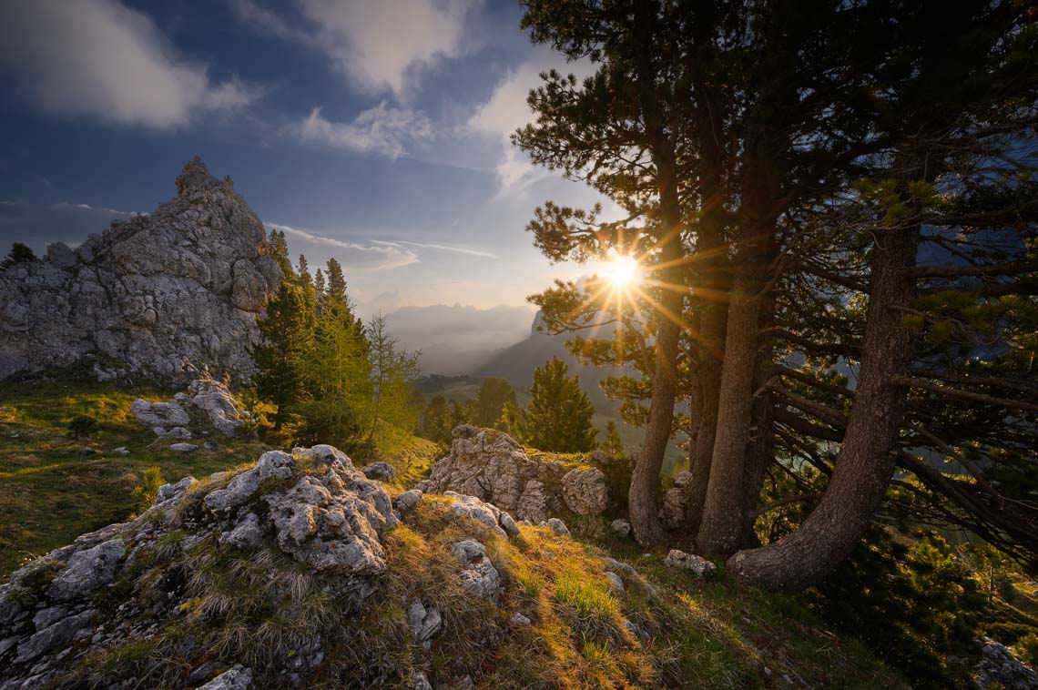Dolomiti Nikon School Workshop Paesaggio Notturna Via Lattea Startrail 00002