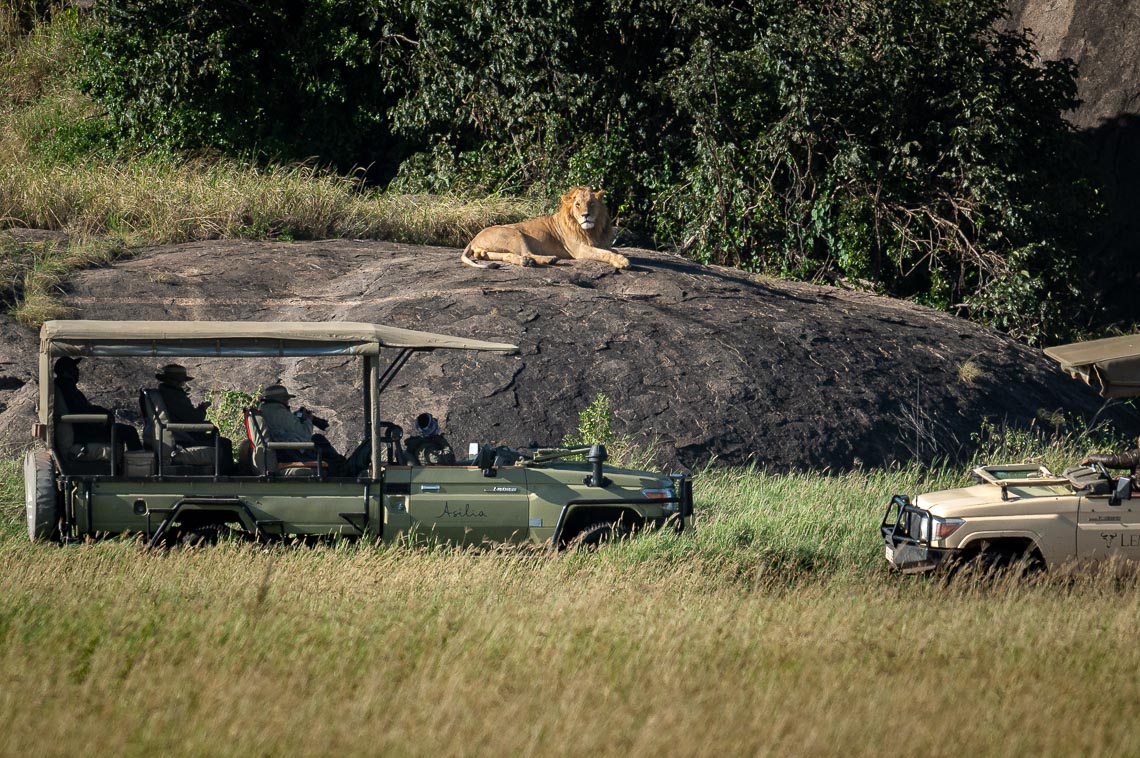 Viaggio Fotografico Tanzania Safari Nikon School Travel Viaggi Fotografici Sarengeti Ngorongoro Workshop Wildlife 00021