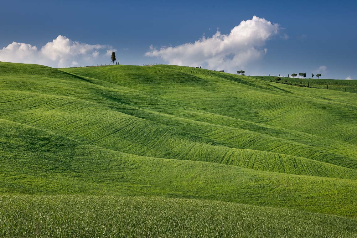 Val Orcia Toscana Nikon School Workshop Paesaggio Notturna Via Lattea Startrail 00003