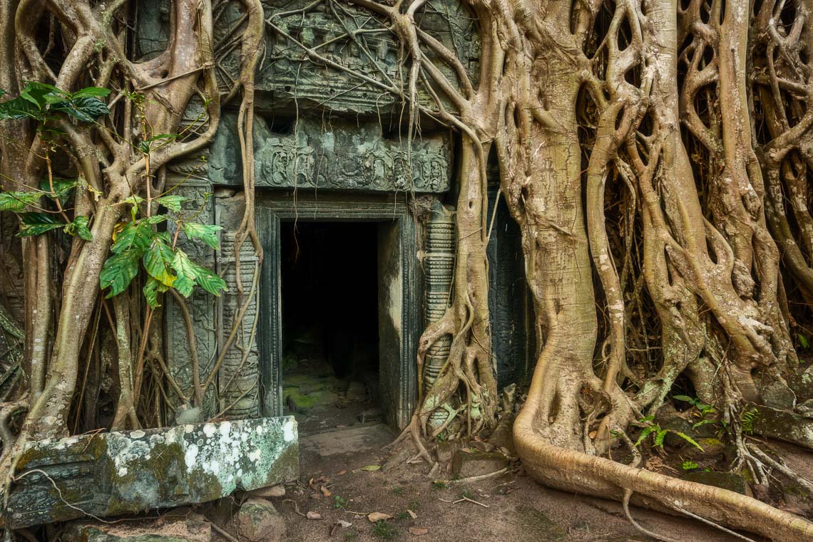 Cambogia Viaggio Fotografico Nikon School Workshop Viaggi Fotografici Reportage Travel 00006