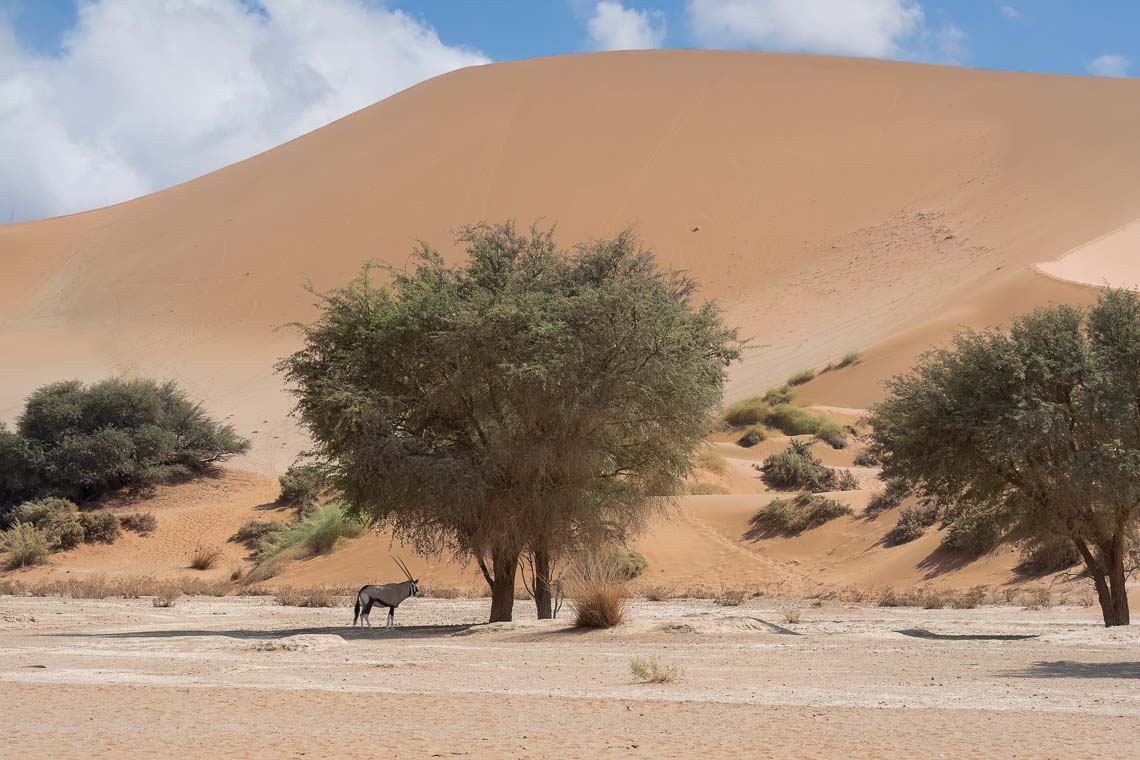 Namibia Viaggio Fotografico Workshop Nikon School 00010