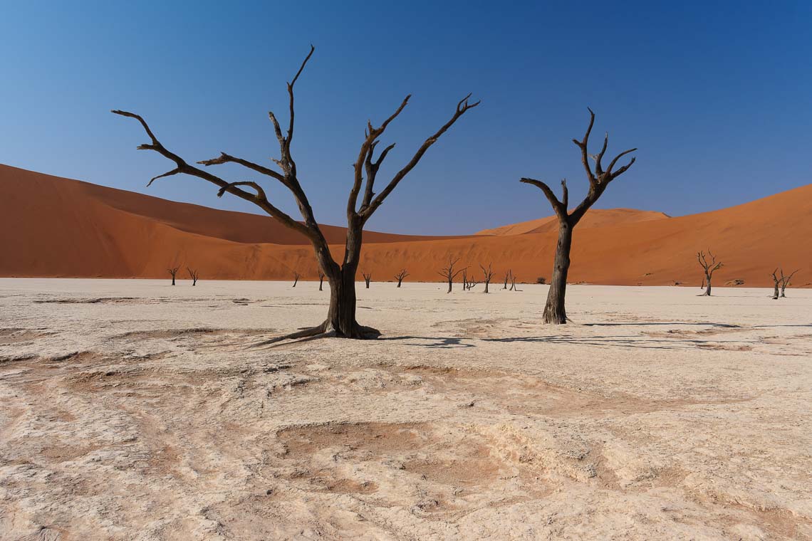 Namibia Viaggio Fotografico Workshop Nikon School 00011