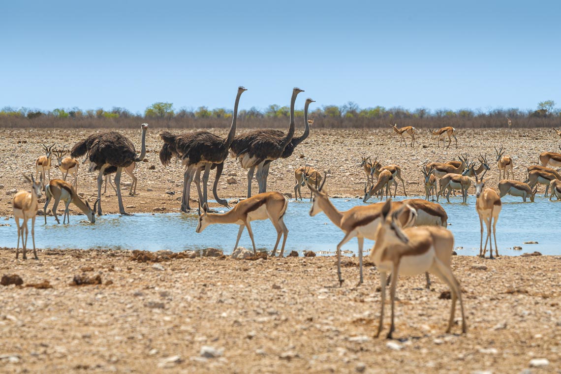 Namibia Viaggio Fotografico Workshop Nikon School 00015