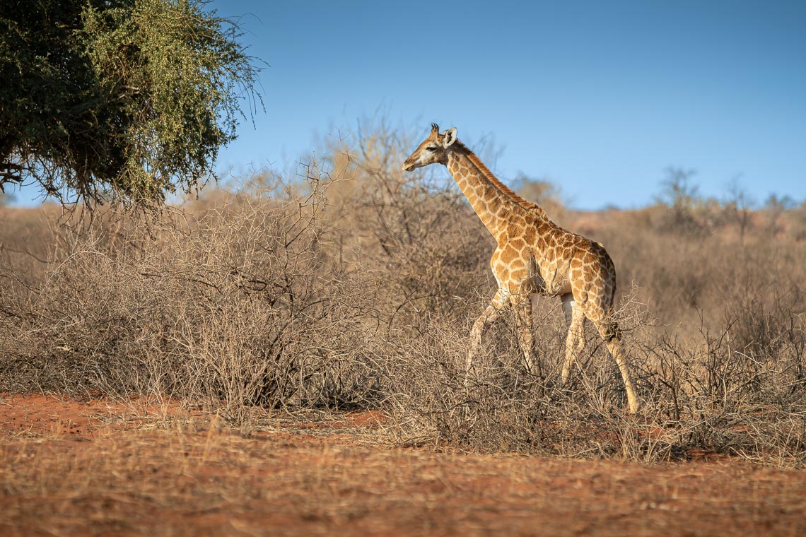 Namibia Viaggio Fotografico Workshop Nikon School 00017