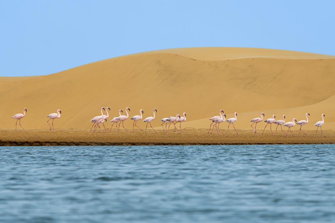 Namibia Viaggio Fotografico Workshop Nikon School 00019