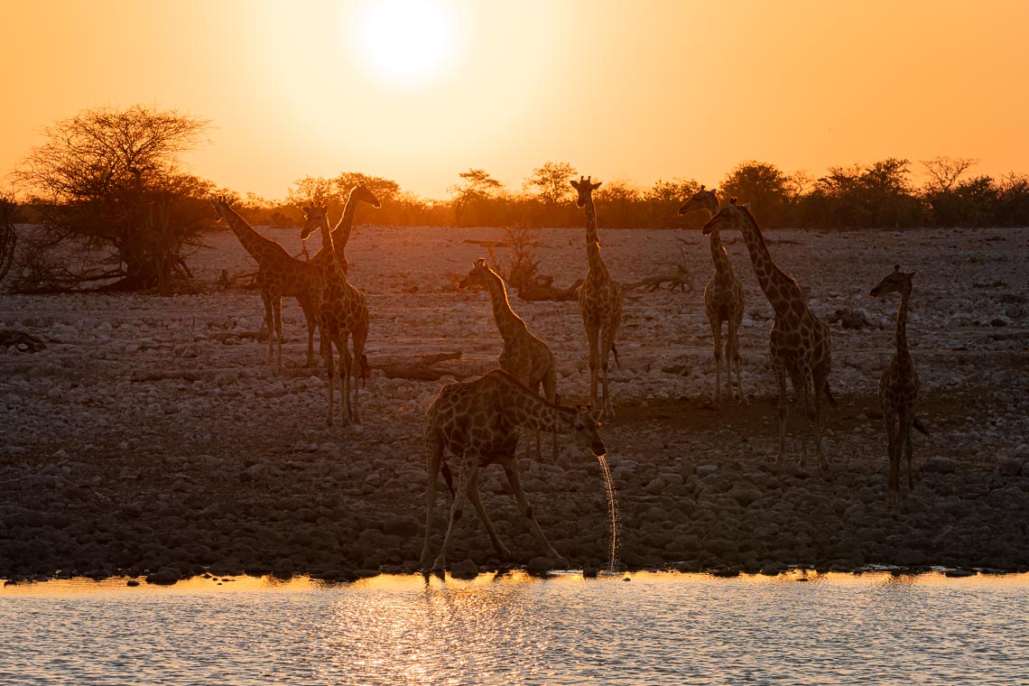 Namibia Viaggio Fotografico Workshop Nikon School 00025