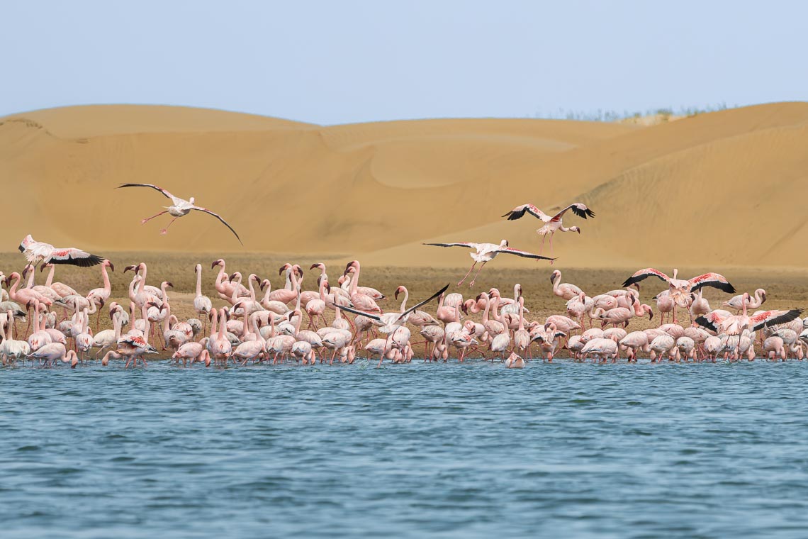 Namibia Viaggio Fotografico Workshop Nikon School 00029
