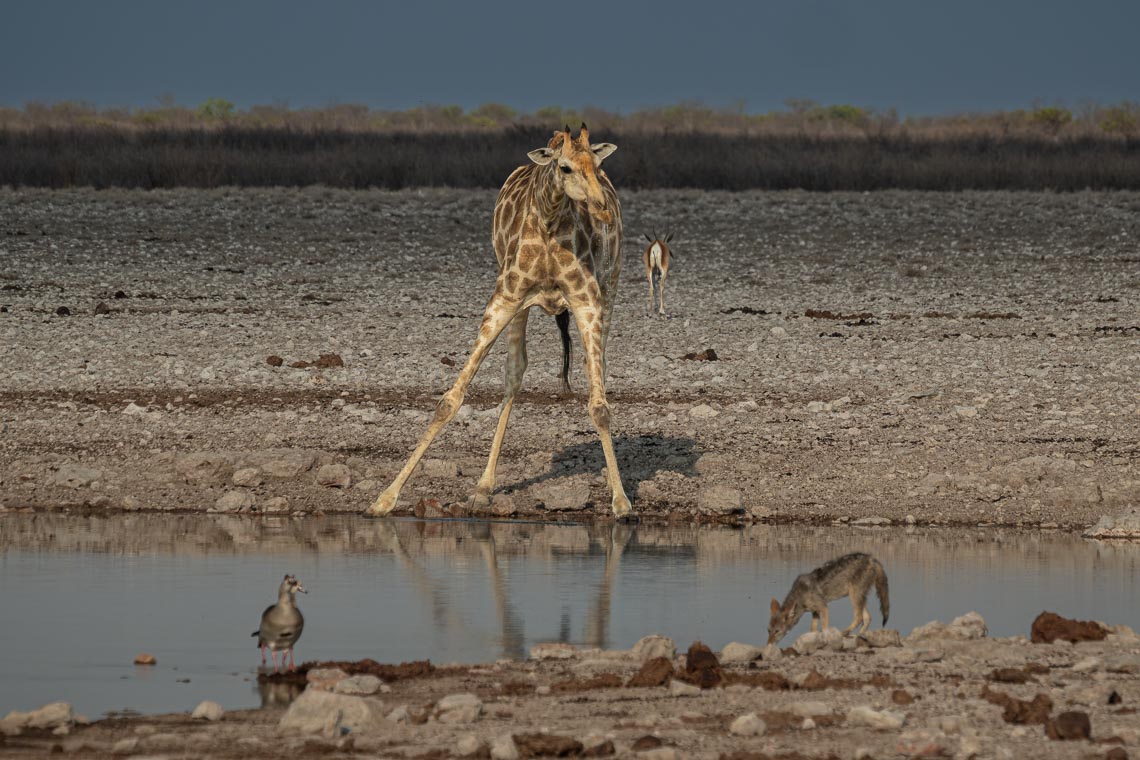 Namibia Viaggio Fotografico Workshop Nikon School 00030