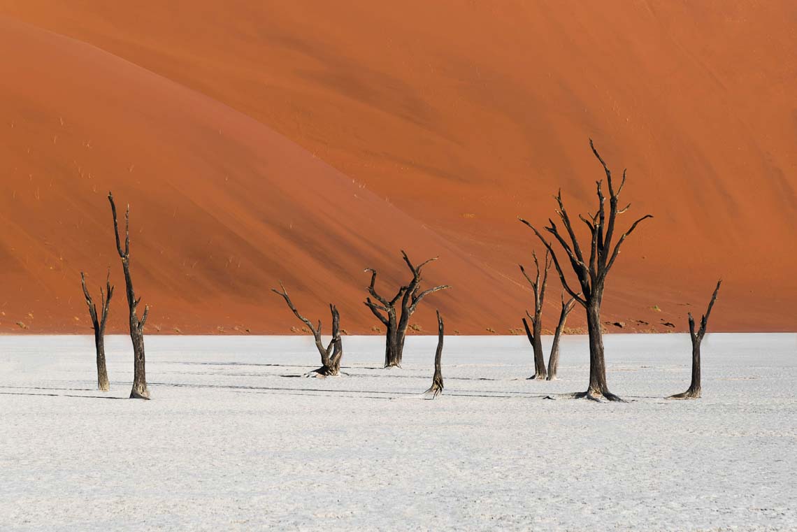 Namibia Viaggio Fotografico Workshop Nikon School 00035