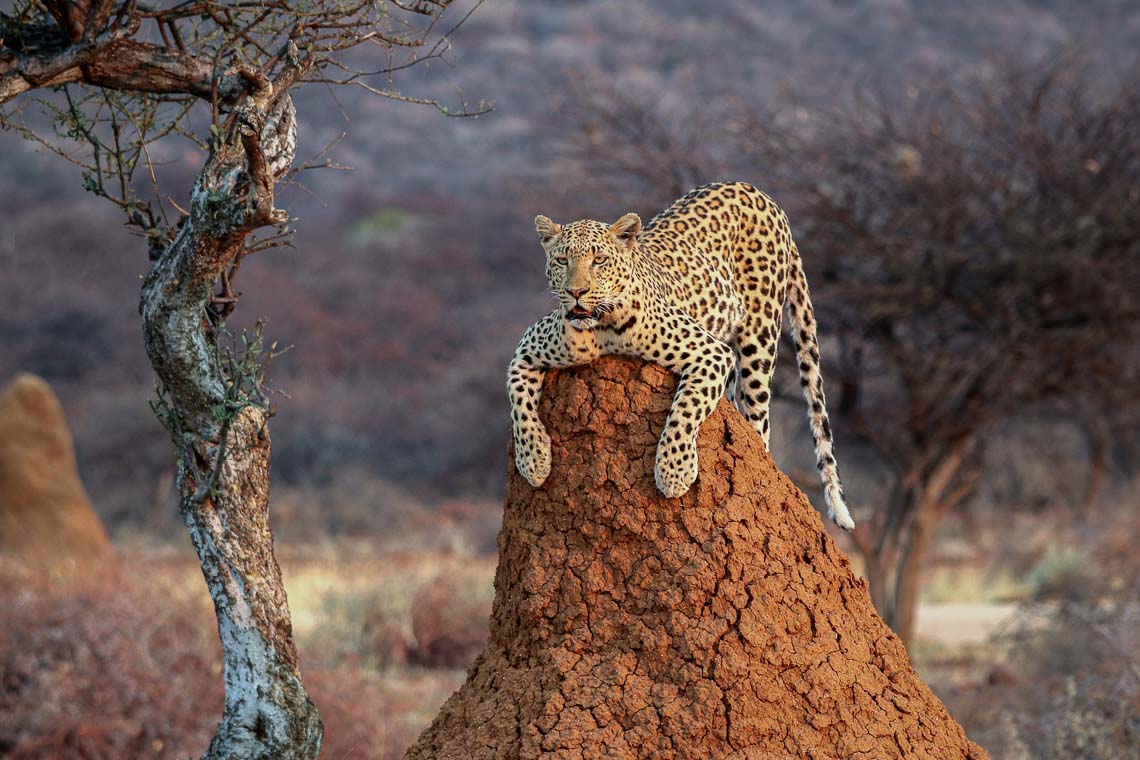 Namibia Viaggio Fotografico Workshop Nikon School 00042