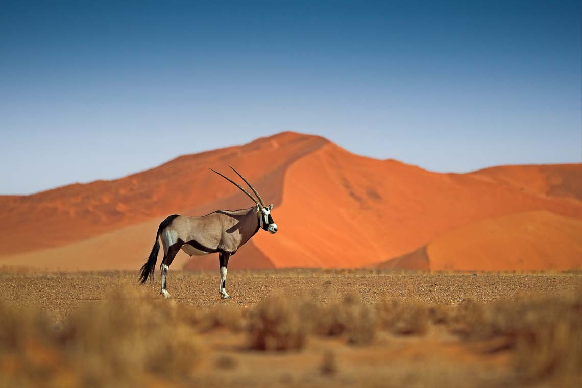 Namibia Viaggio Fotografico Workshop Nikon School 00043