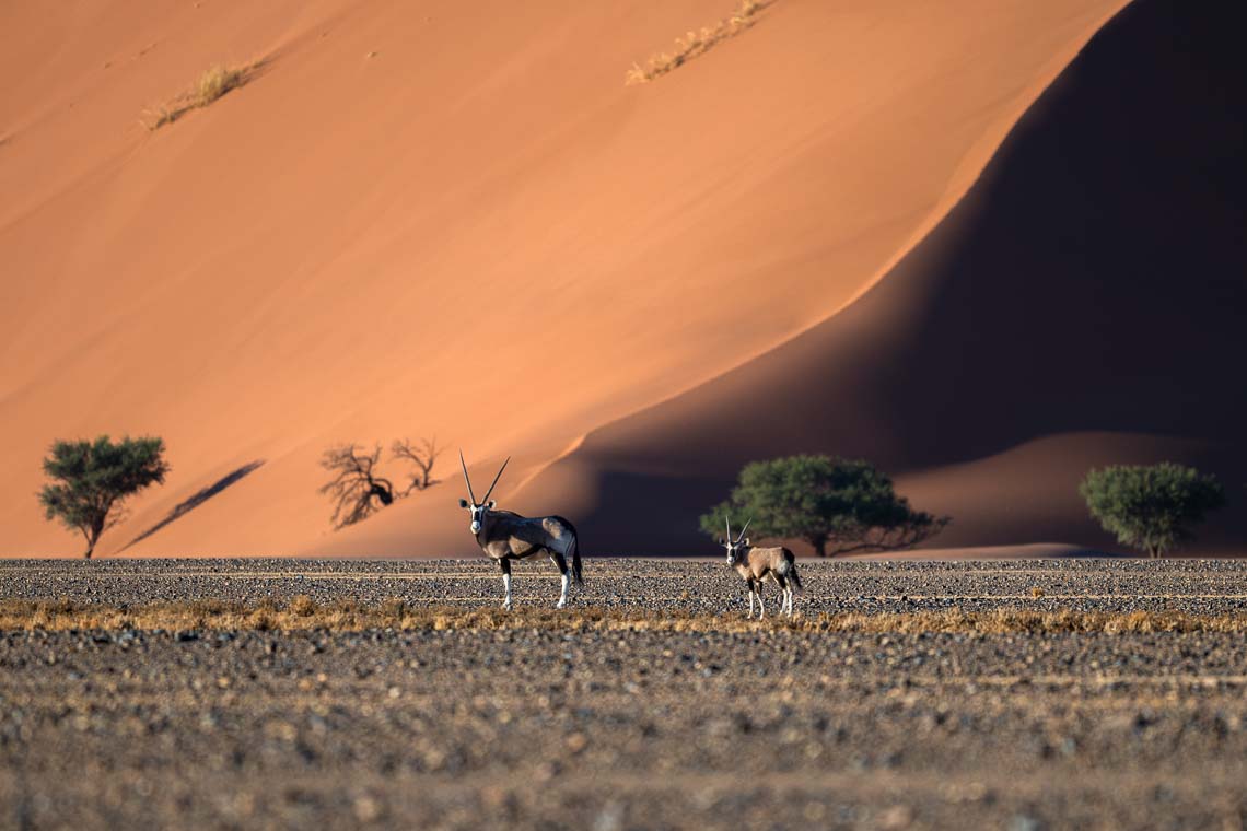 Namibia Viaggio Fotografico Workshop Nikon School 00046