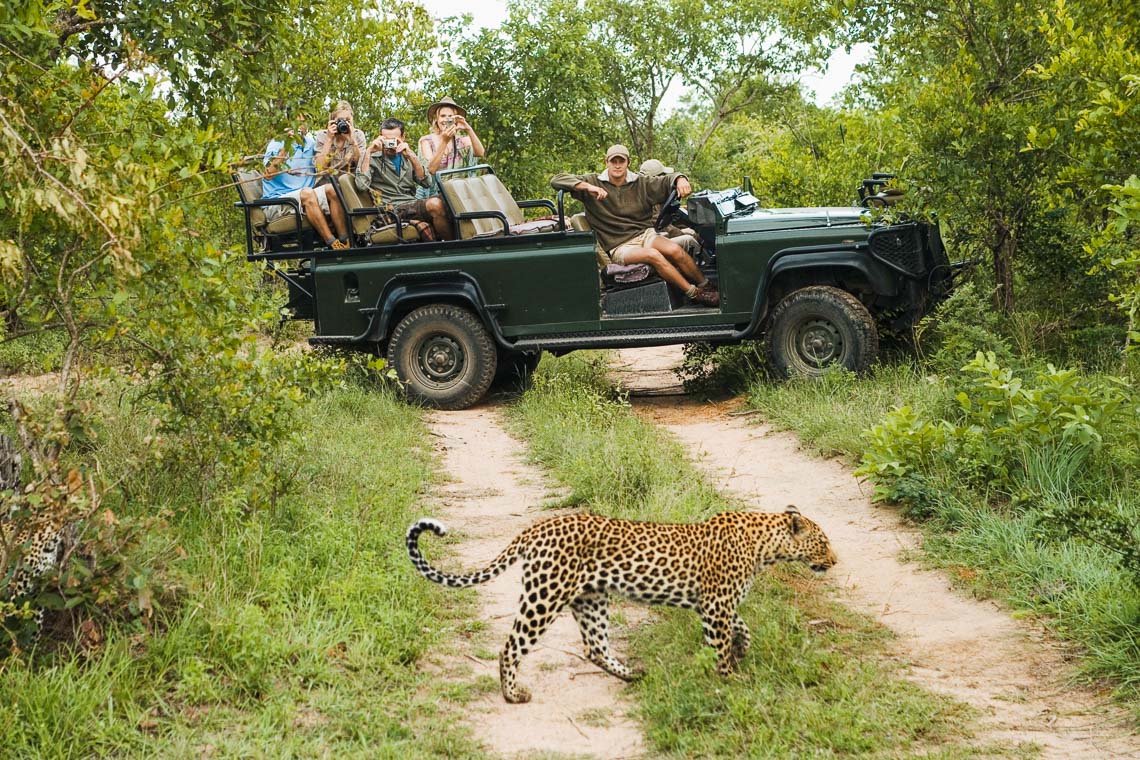 Sudafrica Viaggio Fotografico Kruger Workshop Nikon School Manyeleti Cape Town Garden Route Panorama Route 00026
