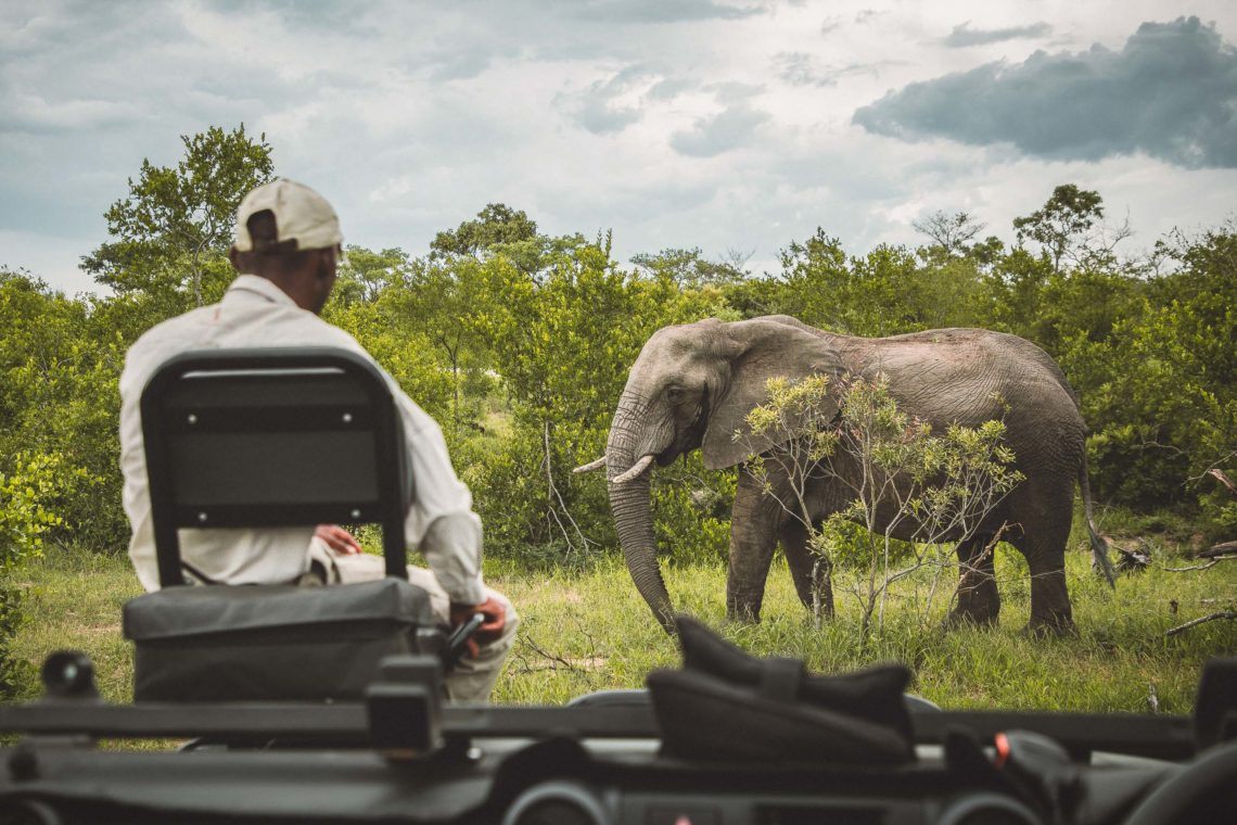 Sudafrica Viaggio Fotografico Kruger Workshop Nikon School Manyeleti Cape Town Garden Route Panorama Route 00037