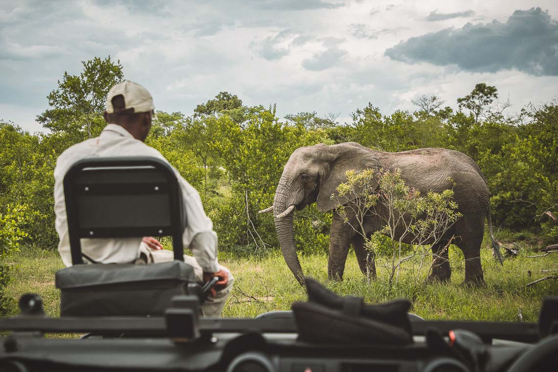 Sudafrica Viaggio Fotografico Kruger Workshop Nikon School Manyeleti Cape Town Garden Route Panorama Route 00037