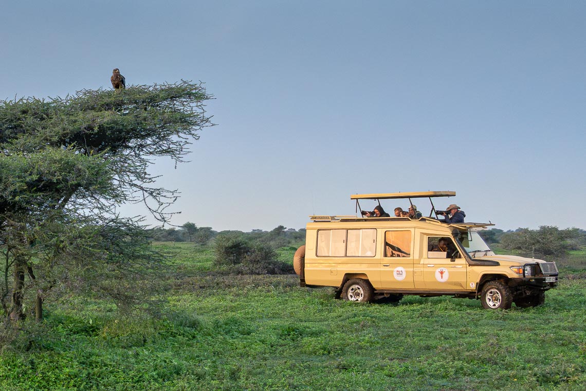 Viaggio Fotografico Tanzania Safari Nikon School Travel Viaggi Fotografici Sarengeti Ngorongoro Workshop Wildlife 00037