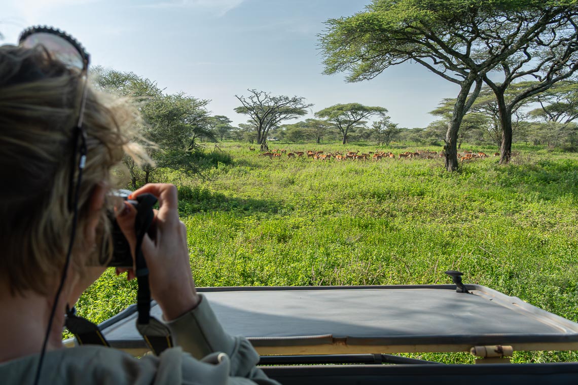 Viaggio Fotografico Tanzania Safari Nikon School Travel Viaggi Fotografici Sarengeti Ngorongoro Workshop Wildlife 00038