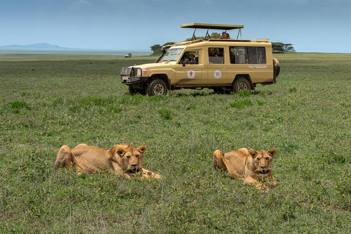 Viaggio Fotografico Tanzania Safari Nikon School Travel Viaggi Fotografici Sarengeti Ngorongoro Workshop Wildlife 00048
