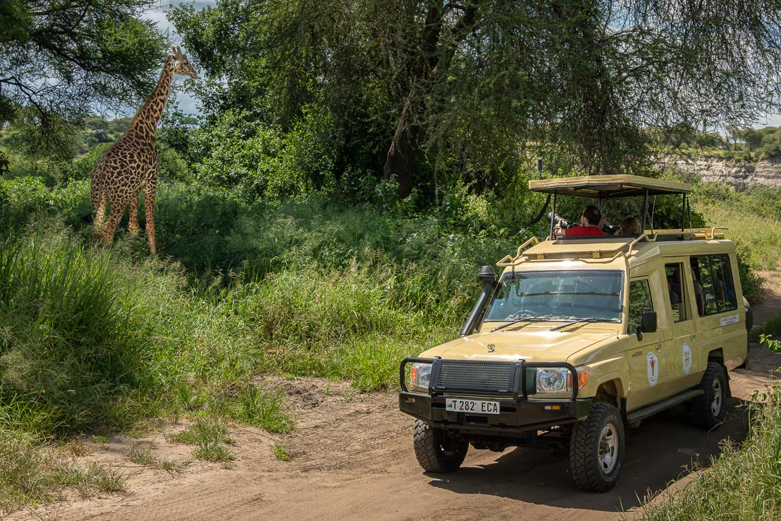 Viaggio Fotografico Tanzania Safari Nikon School Travel Viaggi Fotografici Sarengeti Ngorongoro Workshop Wildlife 00052
