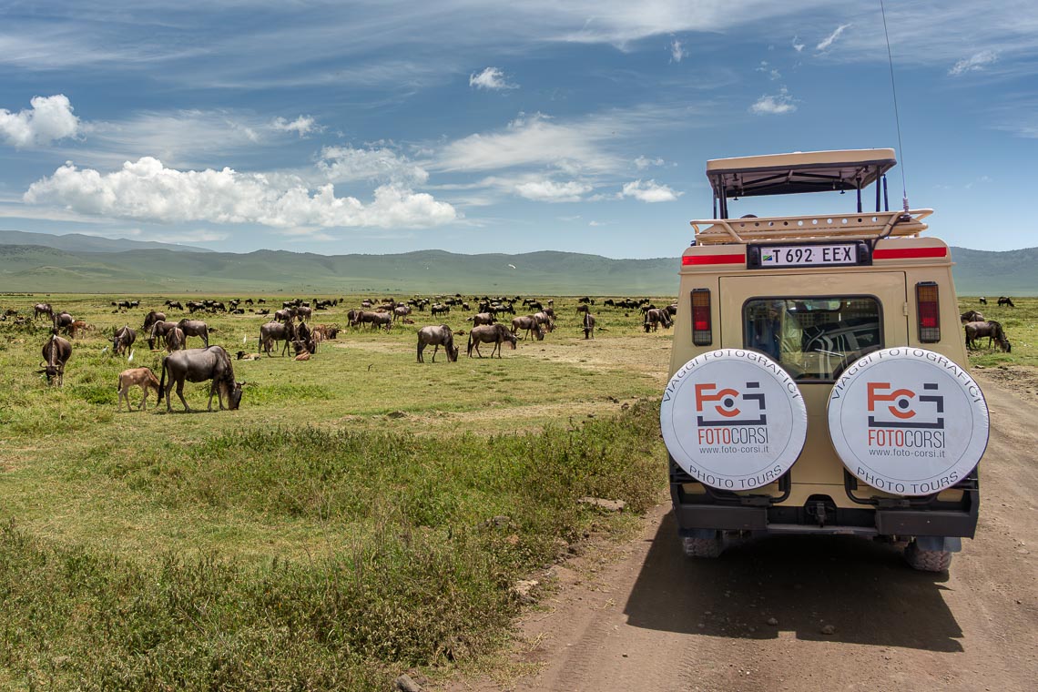 Viaggio Fotografico Tanzania Safari Nikon School Travel Viaggi Fotografici Sarengeti Ngorongoro Workshop Wildlife 00057