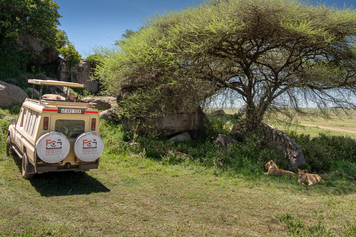 Viaggio Fotografico Tanzania Safari Nikon School Travel Viaggi Fotografici Sarengeti Ngorongoro Workshop Wildlife 00058