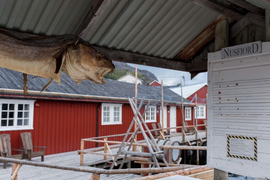 Lofoten Norvegia Estate Agosto Nikon School Viaggio Fotografico Workshop Photo Tour 00012