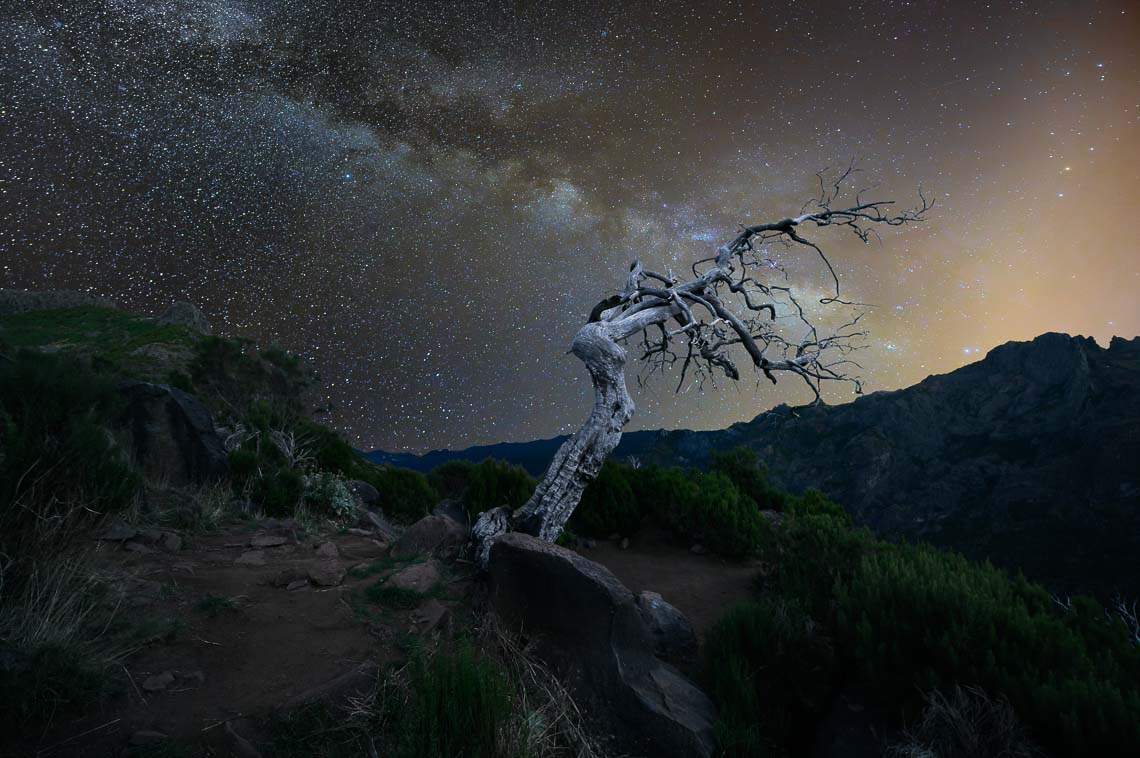 Madeira Portogallo Nikon School Viaggio Fotografico Workshop Paesaggio Viaggi Fotografici Via Lattea Startrail Notturna 00044