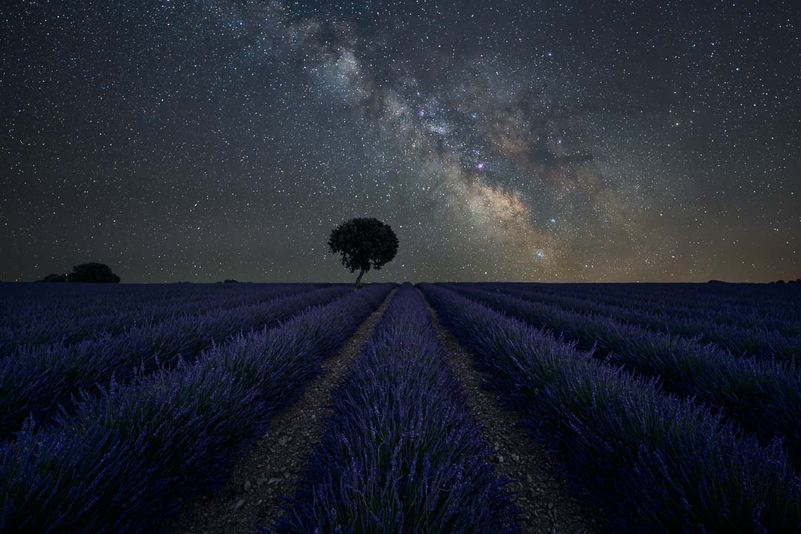 Provenza Nikon School Viaggio Fotografico Workshop Paesaggio Viaggi Fotografici Via Lattea Startrail Notturna 00052