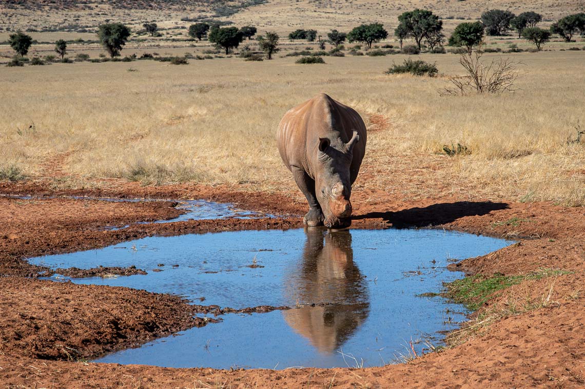 Namibia Viaggio Fotografico Workshop Nikon School 00049