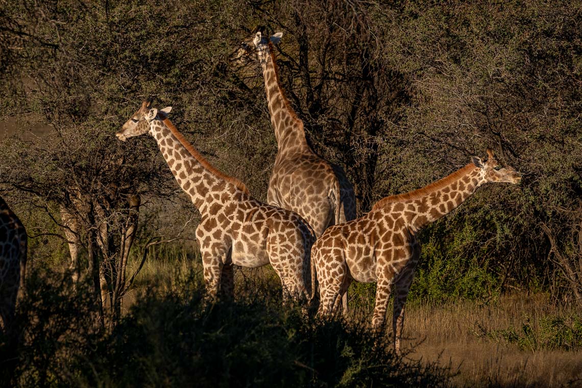 Namibia Viaggio Fotografico Workshop Nikon School 00051