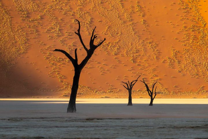Namibia Viaggio Fotografico Workshop Nikon School 00052