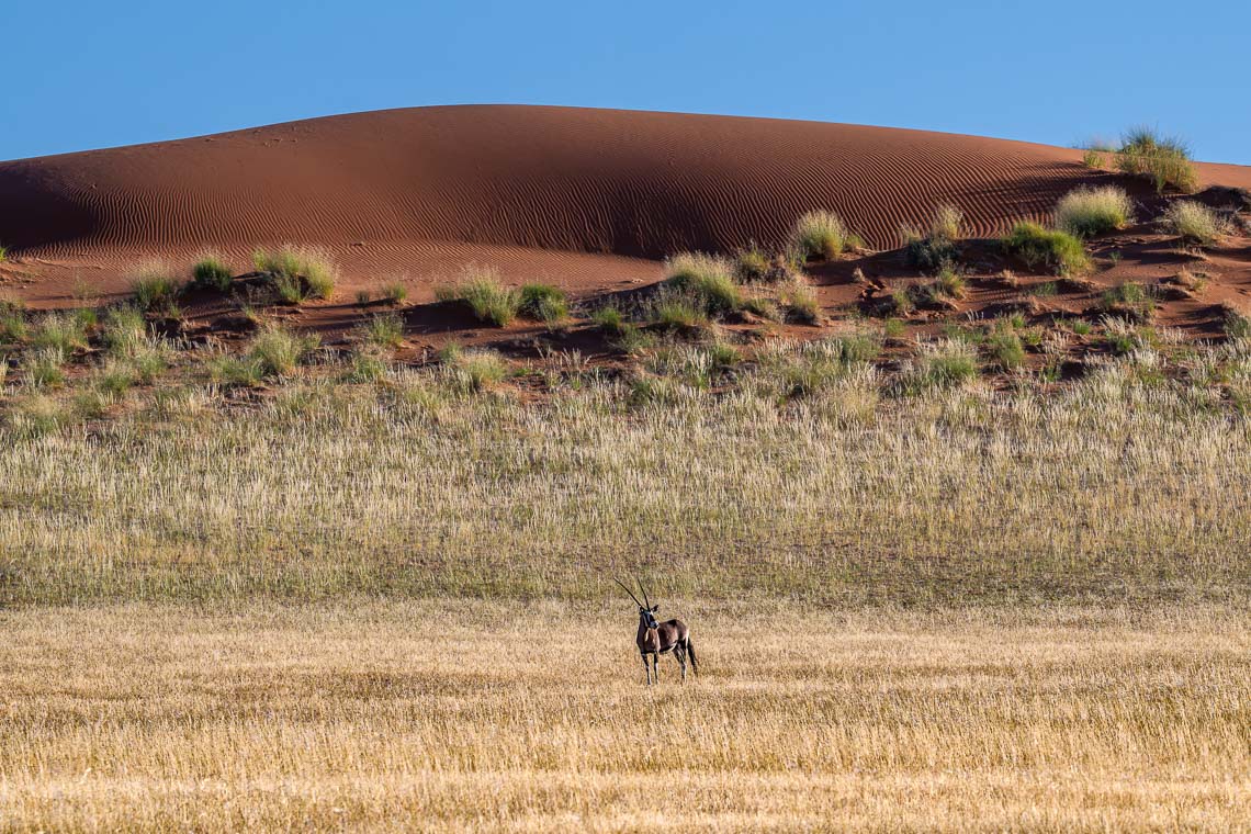 Namibia Viaggio Fotografico Workshop Nikon School 00053