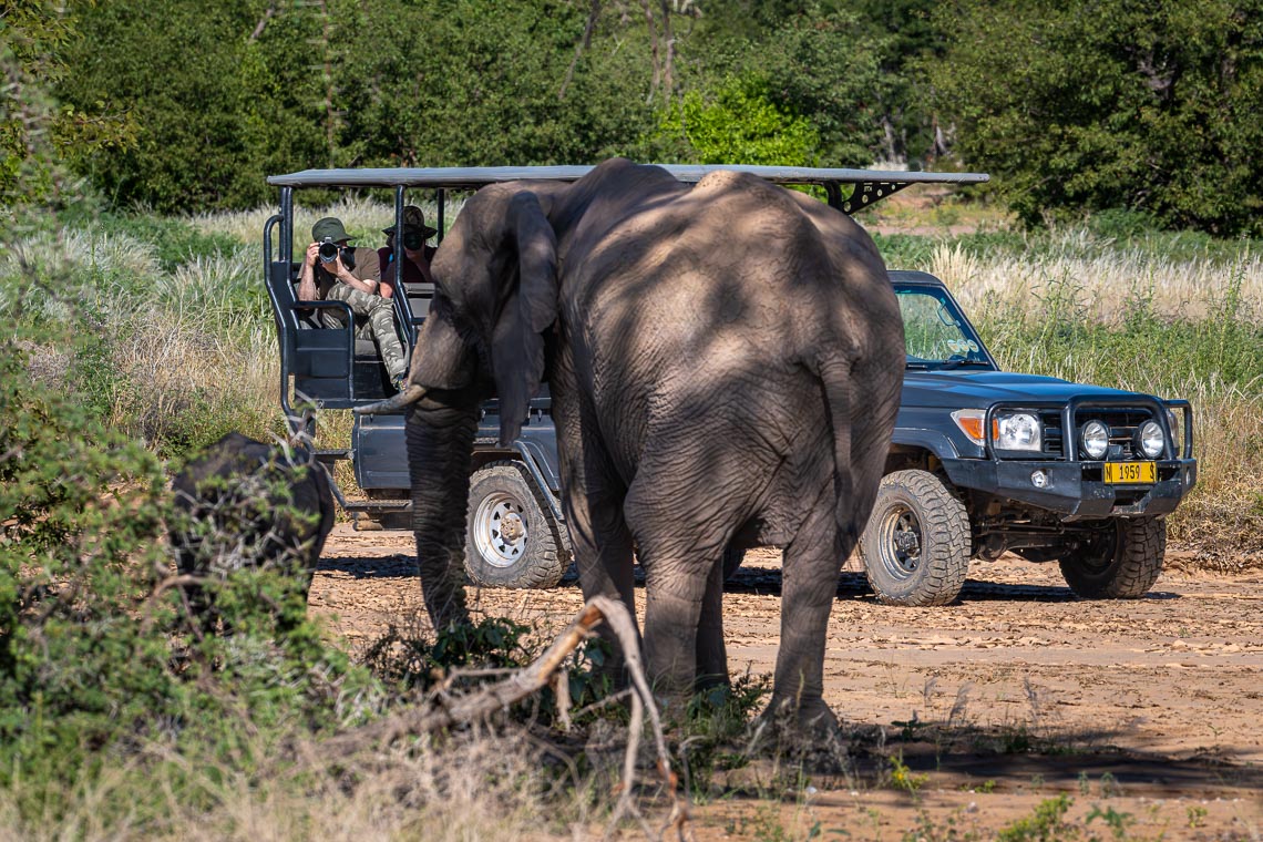 Namibia Viaggio Fotografico Workshop Nikon School Etosha 00006