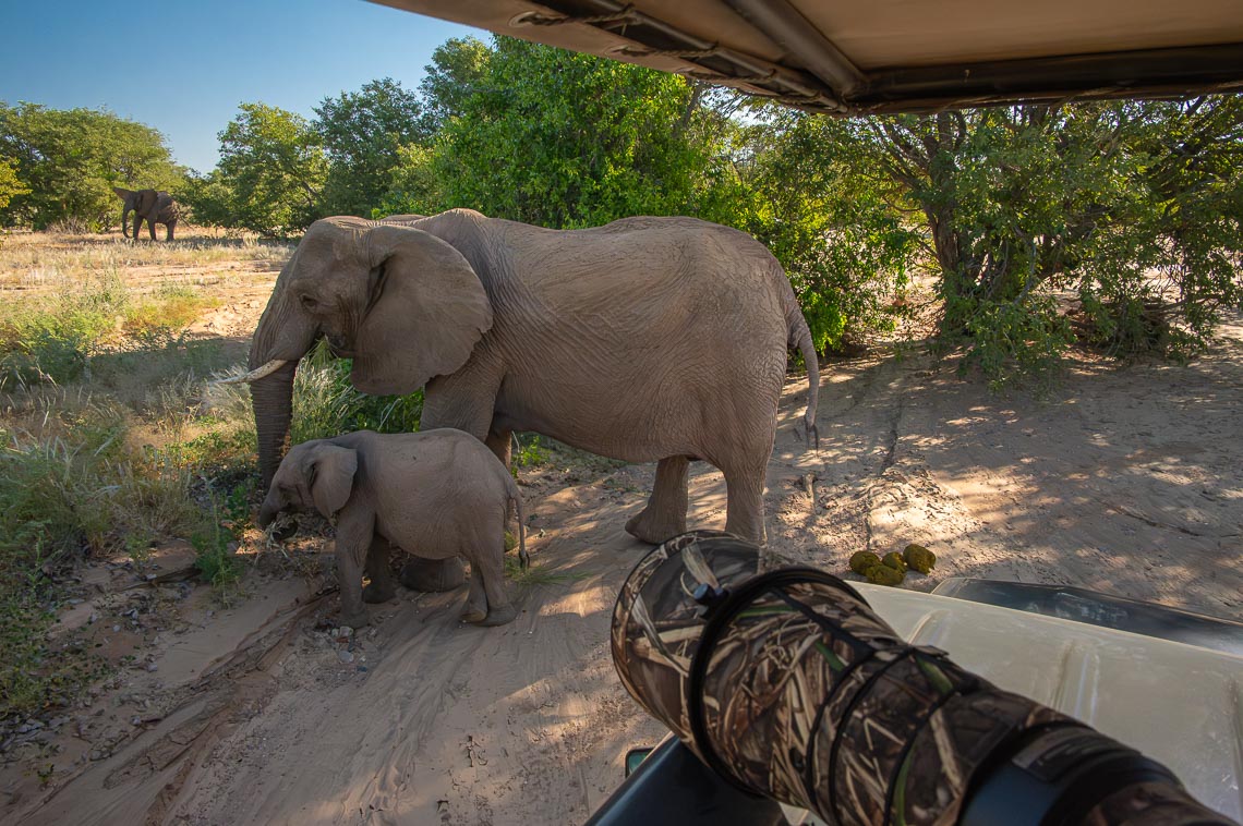 Namibia Viaggio Fotografico Workshop Nikon School Etosha 00007